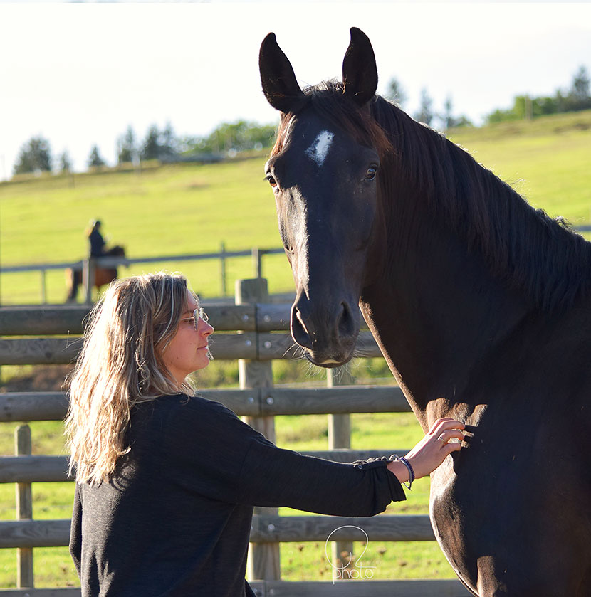 Anne Catherine entre en connexion avec un cheval en liberté avec des prés verdoyants en arrière plan