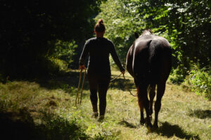 femme et cheval qui marchent